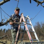 Baumschneiden 2014 Streuobstwiese Maraiberg (1024x768)