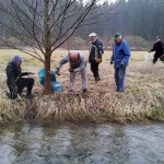 Fehlaputz 15.3.14 Fehlaputz 15.3.14